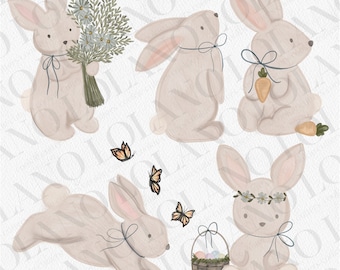 Cute Bunny Cookie Cutters