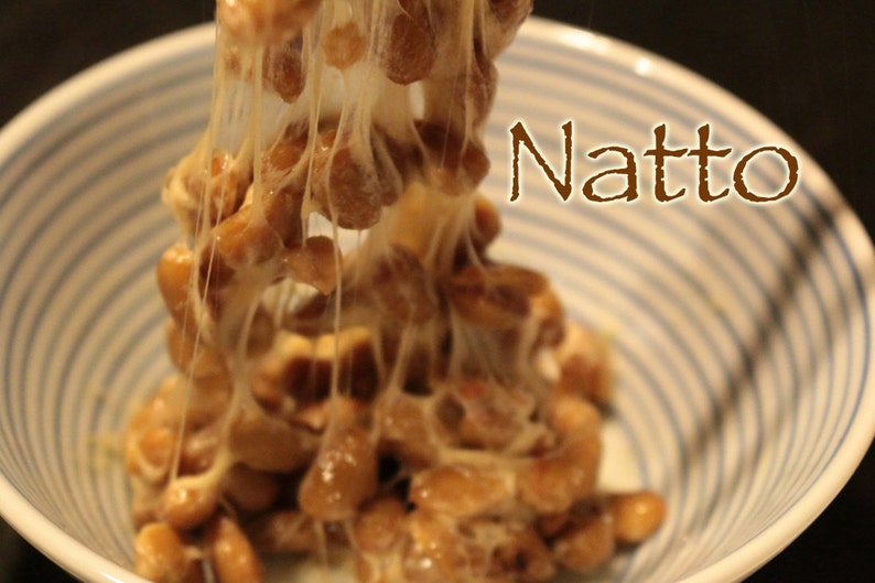Natto nattokinase Organic Fresh Live Starter Culture Etsy