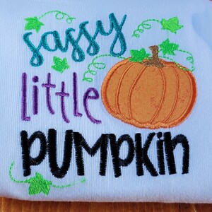 Sassy Little Pumpkin Kids Shirt, Thanksgiving Pumpkin Children Shirt, Personalized Littl Birthday Shirt, Kids, Infant, Toddler, Youth, Adult