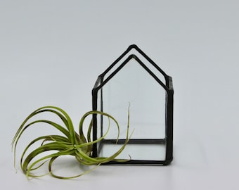 Airplant Terrarium, Glass Airplant Holder, Terrarium, Glass House, Office Decor, Airplant, Greenery, Gardening, Plants, Glass, Stained Glass