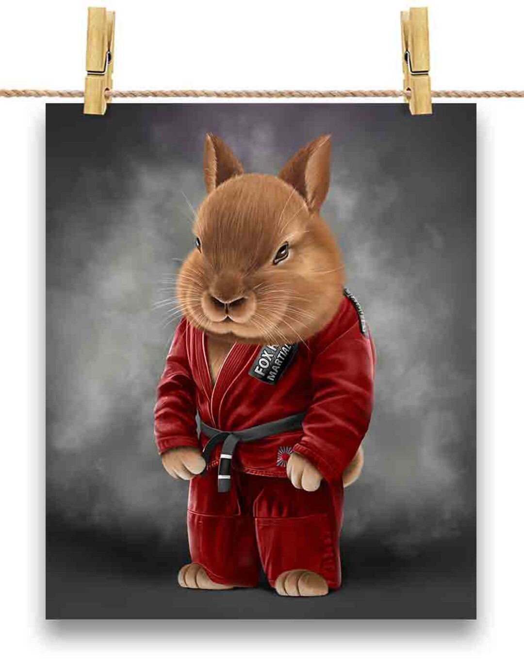 Rabbit Martial Artist in Red Judogi: Judo & Karate - Poster Print, Wall ...