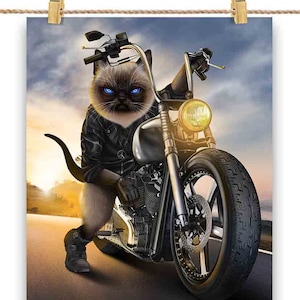 Biker Cat Riding Chopper Motorcycle - Impression d’affiche, art mural, décoration intérieure et carte postale - PrintStarTee