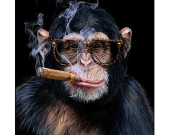 Chimpanzee with Cigar - Poster Print, Wall Art, Home Decor, and Postcard - PrintStarTee