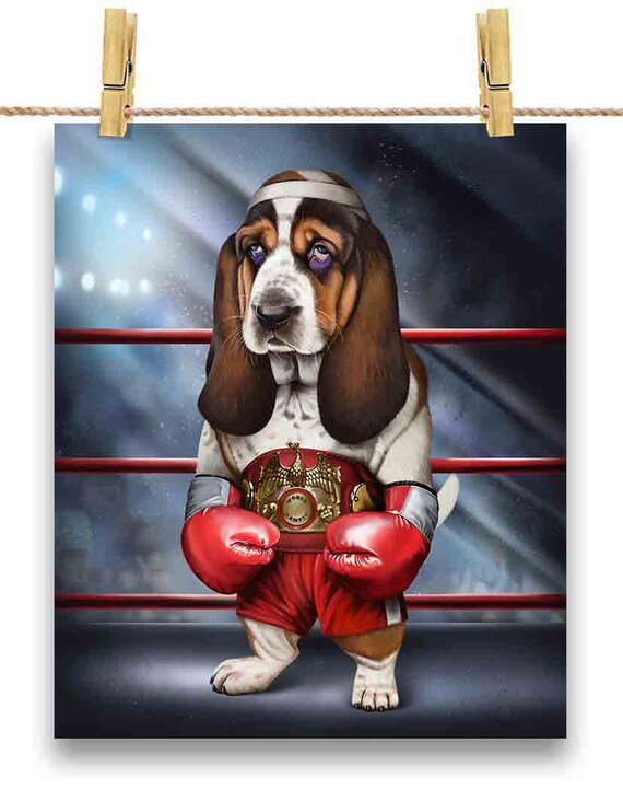 Akc Basset Hound Hoodie Sale Champion Basset Hounds Hot Sale