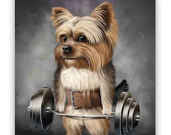 Yorkshire Terrier Dog Muscle Training With Barbell Shrug Bar