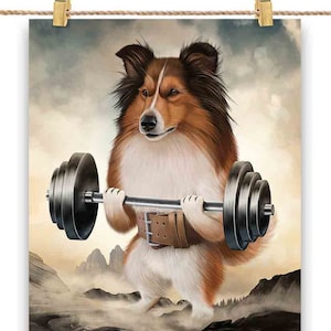 Sheltie Dog Muscle Training Haltérophilie - Impression d’affiche, Art mural, Décoration intérieure et Carte postale - PrintStarTee