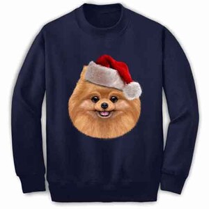 pomeranian jumper