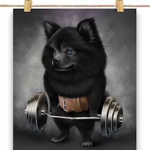 Entraînement musculaire pour chien noir de Poméranie avec haltères, barre d'épaules, salle de sport - Impression d'affiches, oeuvres d'art murales, décoration d'intérieur et cartes postales - PrintStarTee