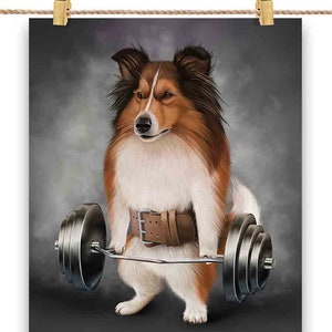 Sheltie Dog Entraînement musculaire avec Barbell Shrug Bar Fitness Gym - Impression d’affiche, Art mural, Décoration intérieure et Carte postale - PrintStarTee