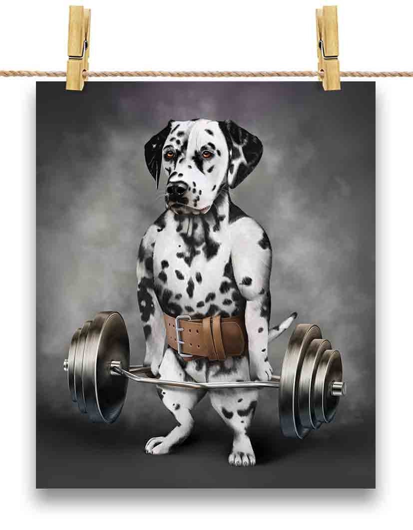 Dalmation shrug top