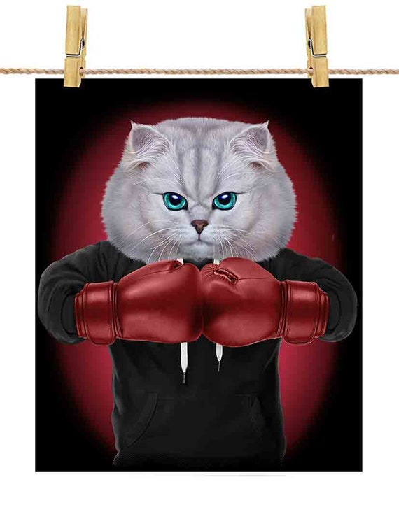 Fluffy Cat as Boxing Champion in Boxer Gloves Poster Print Wall