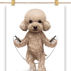 Corde à sauter pour chien caniche crème en plein air - impression d'affiche, art mural, décoration d'intérieur et carte postale - PrintStarTee