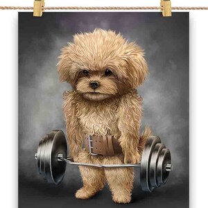 Entraînement musculaire de chien caniche toy avec haltères, barre d'épaules, salle de sport - impression d'affiche, art mural, décoration d'intérieur et carte postale - PrintStarTee