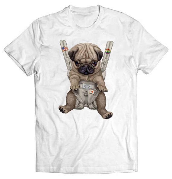 Pug in top baby carrier