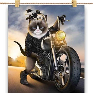 Cat Riding Chopper Motorcycle - Impression d’affiche, art mural, décoration intérieure et carte postale - PrintStarTee