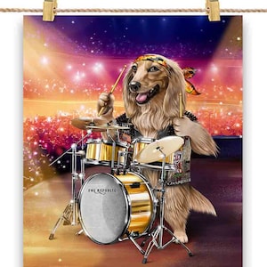 Bassotto che suona la batteria sul palco di un concerto: scegli il tuo sfondo preferito: stampa di poster, decorazioni da parete, decorazioni per la casa e cartoline