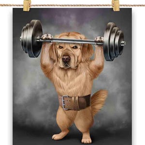 Entraînement de presse aérienne d'haltères pour chien Golden Retriever à la salle de sport - impression d'affiche, art mural, décoration d'intérieur et carte postale - PrintStarTee