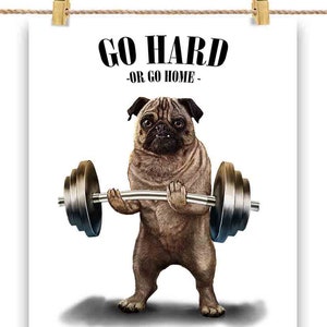 Levantador de peso pug musculoso: vá duro ou vá para casa - um cão campeão - impressão de pôster, arte de parede, decoração de casa e cartão postal - PrintStarTee