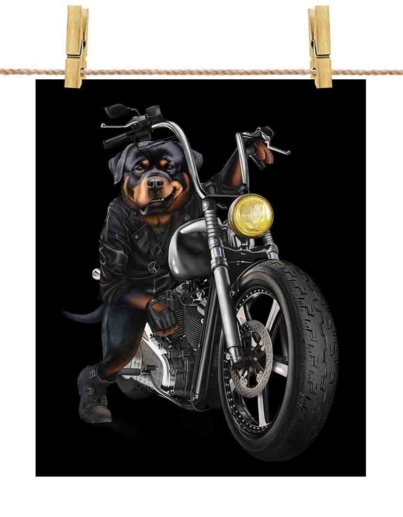 Honda Rottweilers Rottweiler Dog Riding Chopper Motorcycle - Poster Print, Wall Art, Home ...