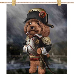 Cane barboncino come Napoleone Bonaparte di Francia