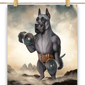Dogue allemand bleu, entraînement musculaire, haltérophilie avec haltères - impression d'affiche, art mural, décoration d'intérieur et carte postale - PrintStarTee