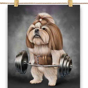 Shih Tzu Dog Muscle Training avec Barbell Shrug Bar Fitness Gym - Impression d’affiche, Art mural, Décoration intérieure et Carte postale - PrintStarTee