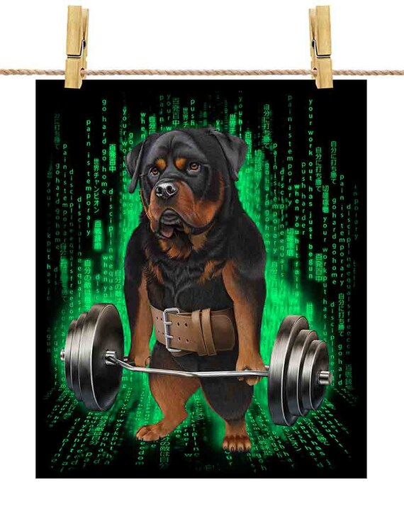 Rottweiler - Deadlift Divertente Da Uomo, Per Fitness, Palestra - 7