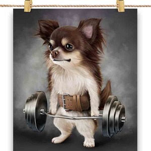 Entraînement musculaire de chien chihuahua au chocolat avec haltères, barre d'épaules, salle de sport - impression d'affiche, art mural, décoration d'intérieur et carte postale - PrintStarTee