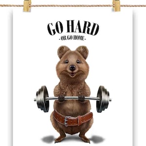 Quokka Haltérophilie et fitness dans la salle de sport - Impression d’affiche, art mural, décoration intérieure et carte postale - PrintStarTee