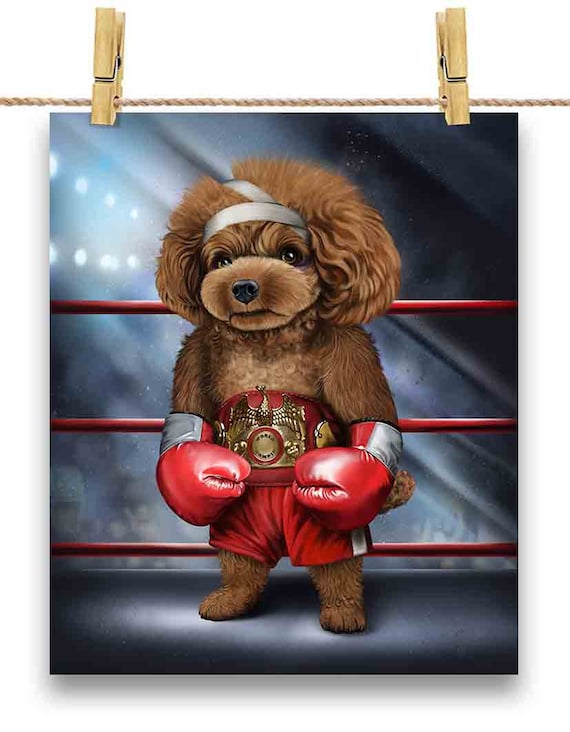 Champion boxer dog online
