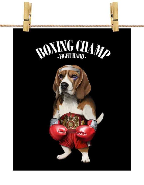 Beagle Boxer Puppies