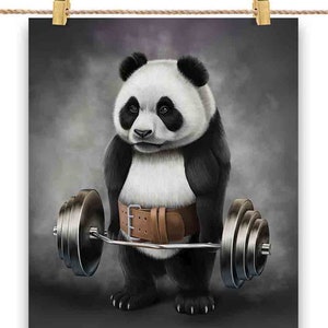 Treinamento muscular de panda gigante com barra de ombros, academia de ginástica - impressão de pôster, arte de parede, decoração de casa e cartão postal - PrintStarTee