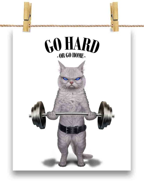Cats fitness cheap