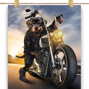 Rottweiler Dog Riding Chopper Motorcycle - Poster, Art mural, décoration d'intérieur et carte postale - PrintStarTee