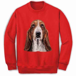 basset hound jumper