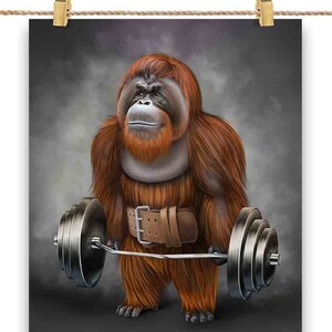 Entraînement musculaire des orangs-outans avec Barbell Shrug Bar Fitness Gym - Impression d’affiche, art mural, décoration intérieure et carte postale - PrintStarTee