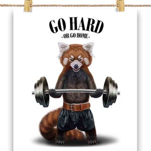 Levantamento de peso do Panda Vermelho em exercícios de ginástica inspiradores - impressão de pôster, arte de parede, decoração de casa e cartão postal - PrintStarTee