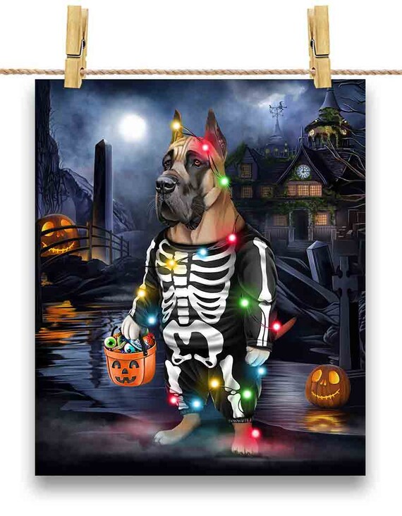 Great dane dressed hot sale up