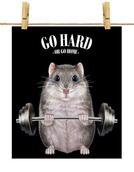 Gym Rats Art Print -  Finland