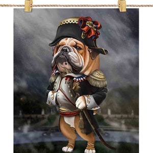 Bulldog gruñón como Napoleón Bonaparte de Francia