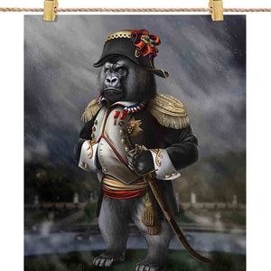 Gorilla scontroso come Napoleone Bonaparte di Francia