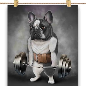 Français Bull Dog Lift Barbell Shrug Bar Exercise Fitness Gym - Impression d’affiche, Art mural, Décoration intérieure et Carte postale - PrintStarTee