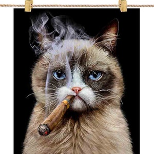 Chat mécontent avec cigare - Impression d’affiche, art mural, décoration intérieure et carte postale - PrintStarTee
