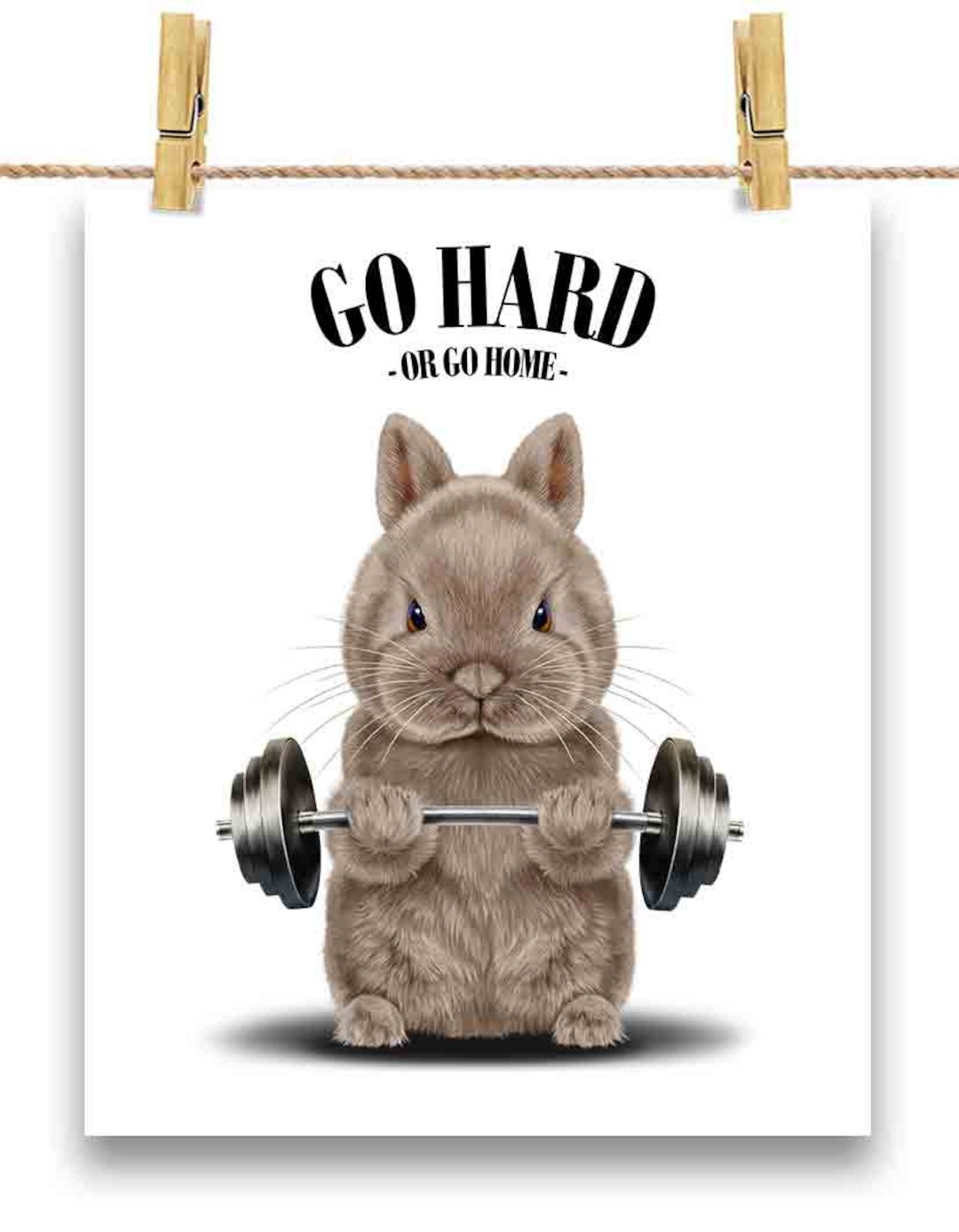 Dwarf Rabbit Weightlifting in Fitness Gym Exercise Workout ...
