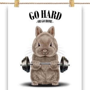 Levantamento de peso de coelho anão em academia de ginástica, exercícios inspiradores - impressão de pôster, arte de parede, decoração de casa e cartão postal - PrintStarTee