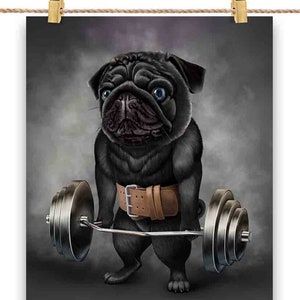 Entraînement musculaire de chien carlin noir avec haltères, barre d'épaules, salle de sport - impression d'affiche, art mural, décoration d'intérieur et carte postale - PrintStarTee
