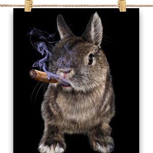 aarogyam cigarettes Aarogyam Herbals 100% Tobacco & Nicotine Free Cigarette (Paan Masala Flavour) for Relieve Stress Smoking Cessations Price in India