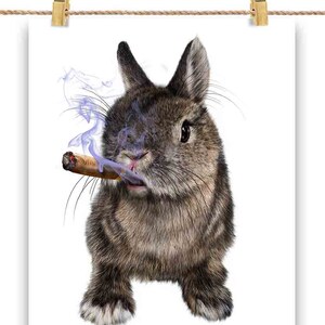 Lapin nain avec cigare - Impression d’affiche, art mural, décoration intérieure et carte postale - PrintStarTee