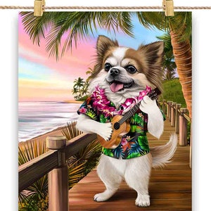 Póster