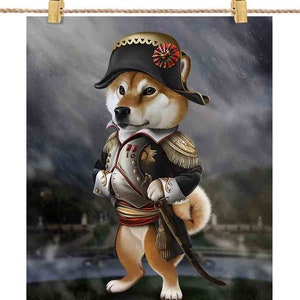 Cane Shiba come Napoleone Bonaparte di Francia
